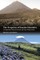 Eruption of Insular Identities