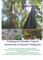 Endangered Valuable Tropical Hardwoods in Palawan Philippines