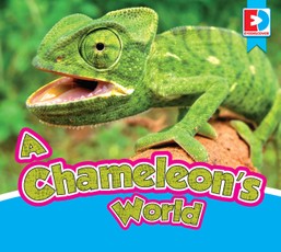 A Chameleon's World