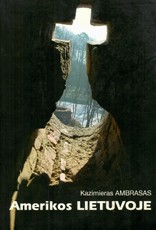 Amerikos Lietuvoje