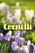 Cornelli