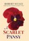 Scarlet Pansy