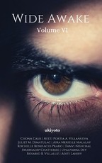 Wide Awake Volumke VI