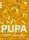 Pupa. Lietuvių kalbos vadovėlis 3 klasei, 3 dalis (pagal 2016 m. programą). Serija ŠOK