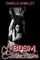 A BDSM Collection