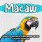 Macaw: Discover Pictures and Facts About Macaws For Kids! A Children's Macaw Book