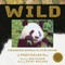 Wild