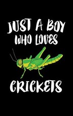Just A Boy Who Loves Crickets