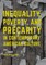 Inequality, Poverty and Precarity in Contemporary American Culture