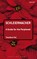Schleiermacher: A Guide for the Perplexed
