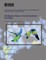 Bird Migration Patterns in the Arid Southwest Final Report
