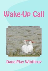 A Wake Up Call