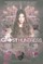 Ghost Huntress Book 2: The Guidance