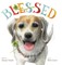 Blessed - A Laboratory Research Dog