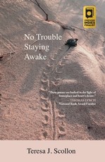 No Trouble Staying Awake