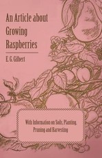 An Article about Growing Raspberries with Information on Soils, Planting, Pruning and Harvesting