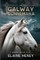 The Galway Connemara The Autobiography of an Irish Connemara Pony - Dyslexia Friendly