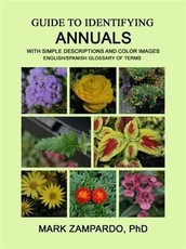Guide to Identifying Annuals