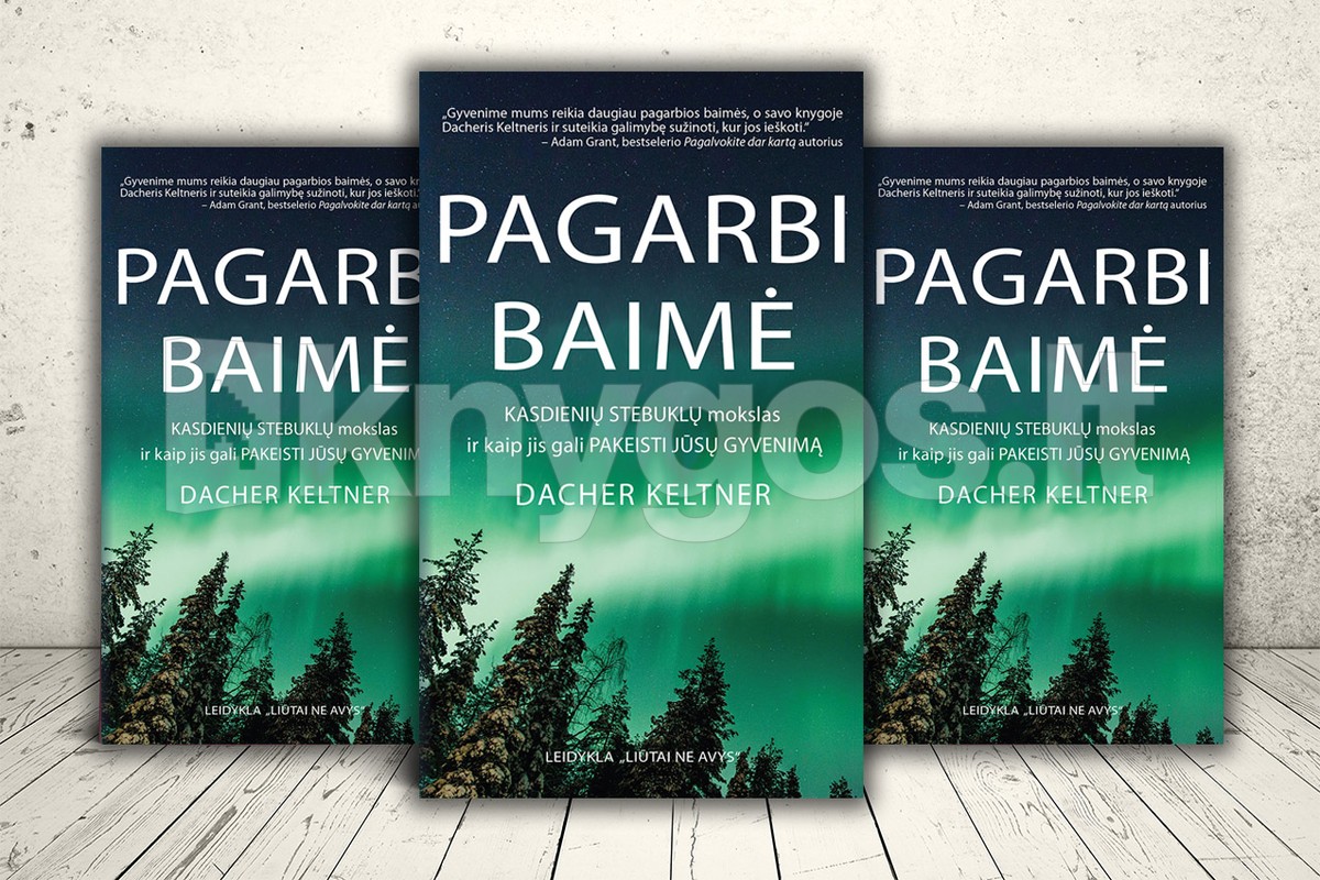 Pagarbi baimė. Kasdienių stebuklų mokslas ir kaip jis gali pakeisti ...