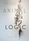 Animal Logic