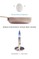 What Einstein Told His Cook