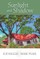 Sunlight and Shadow