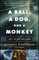 A Ball, a Dog, and a Monkey