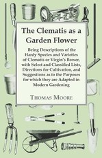 The Clematis as a Garden Flower