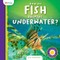 How Do Fish Breathe Underwater?
