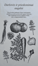 Daržovės ir prieskoniniai augalai