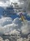 Faces of the Distinguished Flying Cross of Central Florida