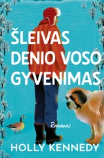 Šleivas Denio Voso gyvenimas