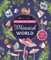 Brain Games - Sticker by Number: Whimsical World (24 Images to Sticker): Includes 2 Foil Sticker Sheets to Complete Each Image!