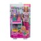 BARBIE lėlė gydytoja (JMK12)