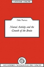Neural Activity and the Growth of the Brain
