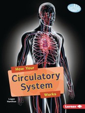 How Your Circulatory System Works