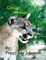 Cougar Woman