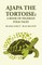 Ajapa the Tortoise