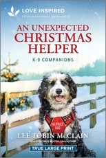 An Unexpected Christmas Helper