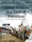 Citizen-Soldiers in a Time of Transition