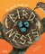 The Secret World of Bird Nests