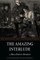 The Amazing Interlude