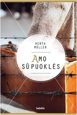 Amo sūpuoklės (2020)