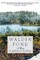 Walden Pond