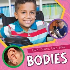 Bodies