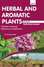 HERBAL AND AROMATIC PLANTS - Nardostachys jatamansi (JATAMANSI)