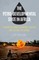The Petro-Developmental State in Africa