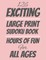 126 Exciting Large Print Sudoku Book
