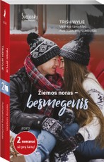 Žiemos noras – besmegenis