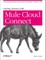 Getting Started with Mule Cloud Connect
